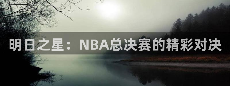 明日之星：NBA总决赛的精彩对决