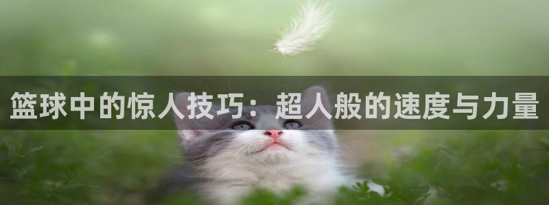 篮球中的惊人技巧：超人般的速度与力量