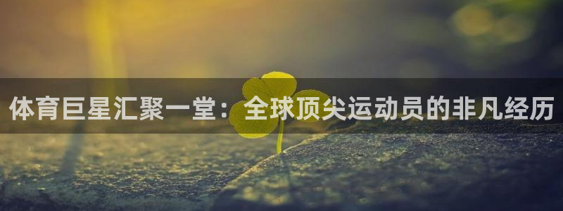 体育巨星汇聚一堂：全球顶尖运动员的非凡经历
