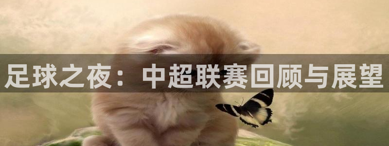 足球之夜：中超联赛回顾与展望