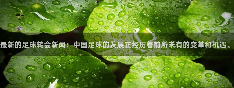 最新的足球转会新闻：中国足球的发展正经历着前所未有的变革和机遇。