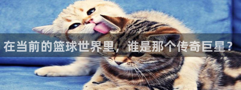 在当前的篮球世界里，谁是那个传奇巨星？