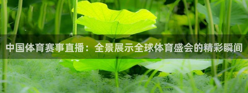 中国体育赛事直播：全景展示全球体育盛会的精彩瞬间