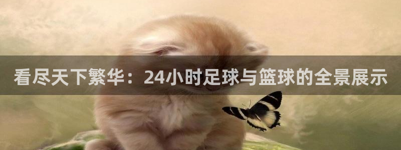 看尽天下繁华：24小时足球与篮球的全景展示