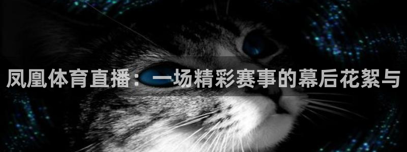 凤凰体育直播：一场精彩赛事的幕后花絮与