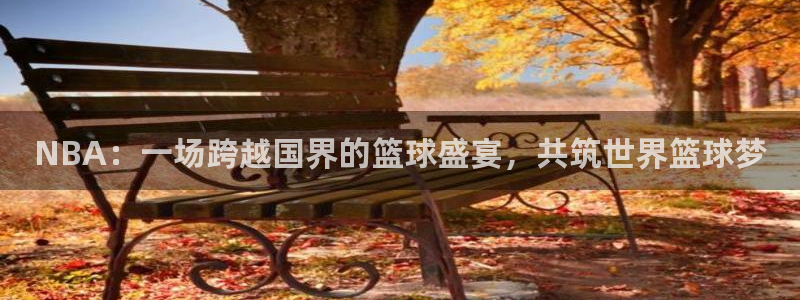 NBA：一场跨越国界的篮球盛宴，共筑世界篮球梦
