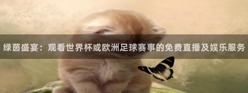 绿茵盛宴：观看世界杯或欧洲足球赛事的免费直播及娱乐服务
