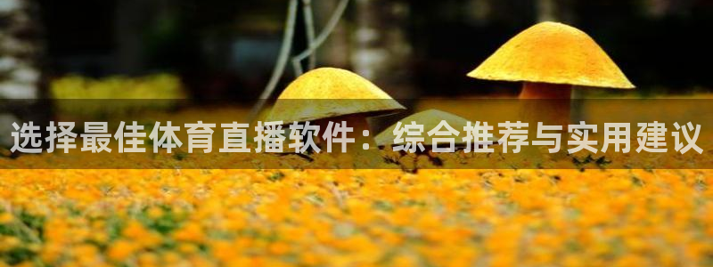 选择最佳体育直播软件：综合推荐与实用建议