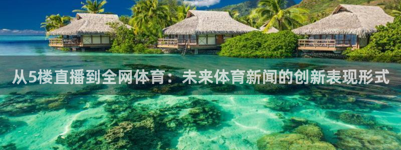从5楼直播到全网体育：未来体育新闻的创新表现形式