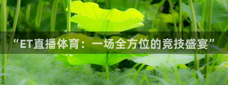 “ET直播体育：一场全方位的竞技盛宴”