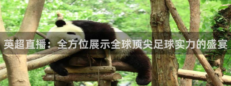 英超直播：全方位展示全球顶尖足球实力的盛宴