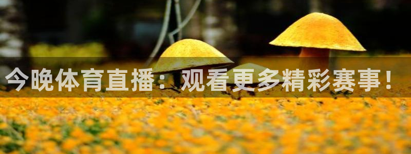 今晚体育直播：观看更多精彩赛事！