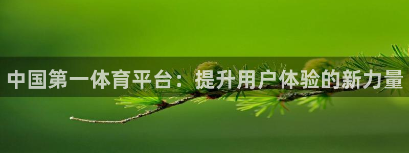 中国第一体育平台：提升用户体验的新力量