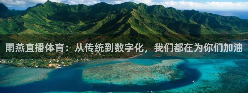 雨燕直播体育：从传统到数字化，我们都在为你们加油