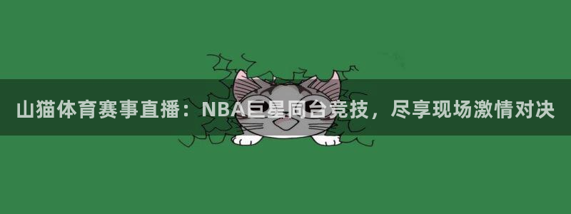 山猫体育赛事直播：NBA巨星同台竞技，尽享现场激情对决