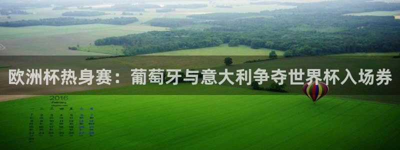 欧洲杯热身赛：葡萄牙与意大利争夺世界杯入场券