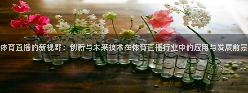 体育直播的新视野：创新与未来技术在体育直播行业中的应用与发展前景