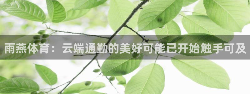 雨燕体育：云端通勤的美好可能已开始触手可及