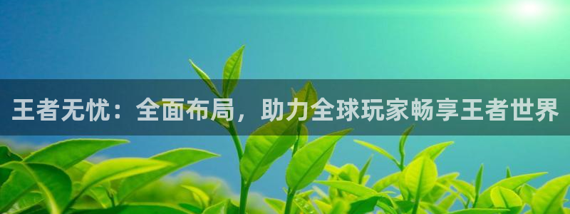 王者无忧：全面布局，助力全球玩家畅享王者世界