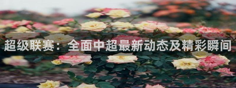 超级联赛：全面中超最新动态及精彩瞬间