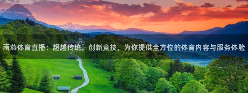 雨燕体育直播：超越传统，创新竞技，为你提供全方位的体育内容与服务体验