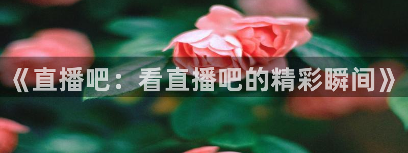 《直播吧：看直播吧的精彩瞬间》