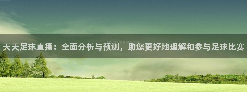 天天足球直播：全面分析与预测，助您更好地理解和参与足球比赛