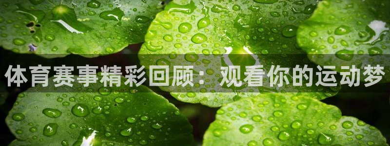 体育赛事精彩回顾：观看你的运动梦