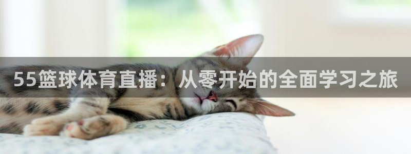 55篮球体育直播：从零开始的全面学习之旅