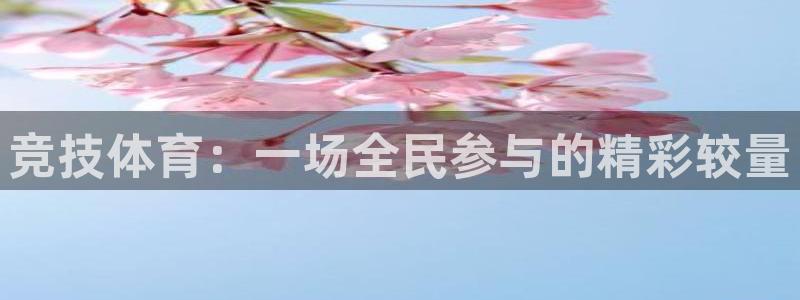 竞技体育：一场全民参与的精彩较量