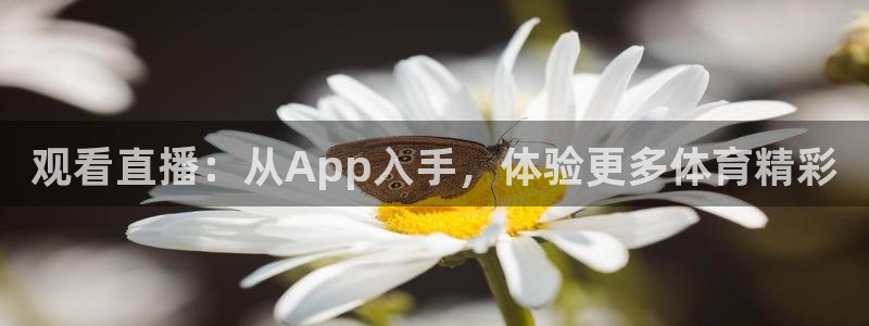 观看直播：从App入手，体验更多体育精彩