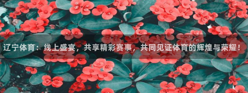 辽宁体育：线上盛宴，共享精彩赛事，共同见证体育的辉煌与荣耀！