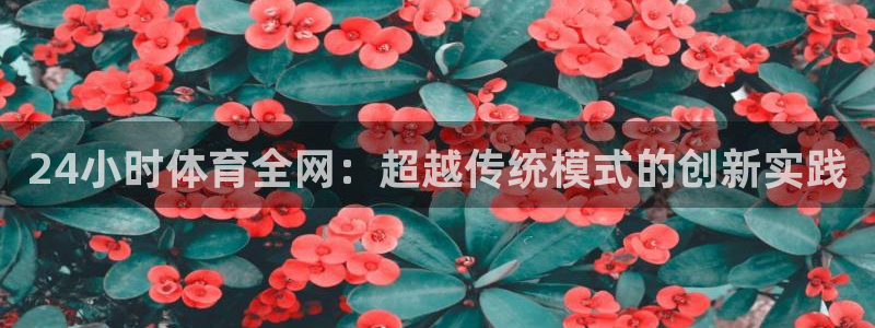 24小时体育全网：超越传统模式的创新实践