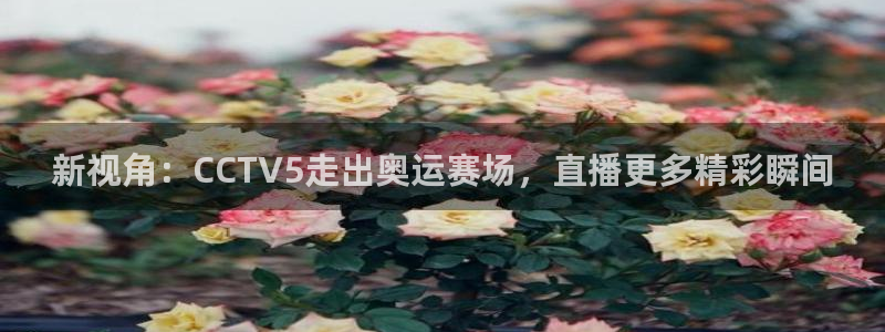 新视角：CCTV5走出奥运赛场，直播更多精彩瞬间