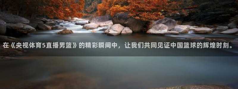 在《央视体育5直播男篮》的精彩瞬间中，让我们共同见证中国篮球的辉煌时刻。