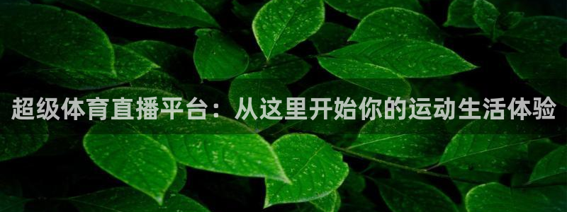 超级体育直播平台：从这里开始你的运动生活体验