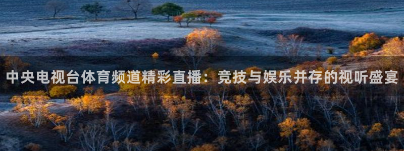 中央电视台体育频道精彩直播：竞技与娱乐并存的视听盛宴