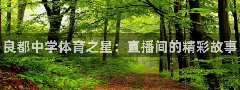 良都中学体育之星：直播间的精彩故事