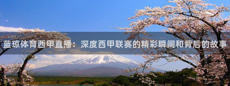 蓝琼体育西甲直播：深度西甲联赛的精彩瞬间和背后的故事