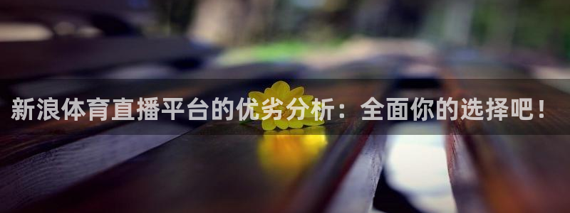 新浪体育直播平台的优劣分析：全面你的选择吧！