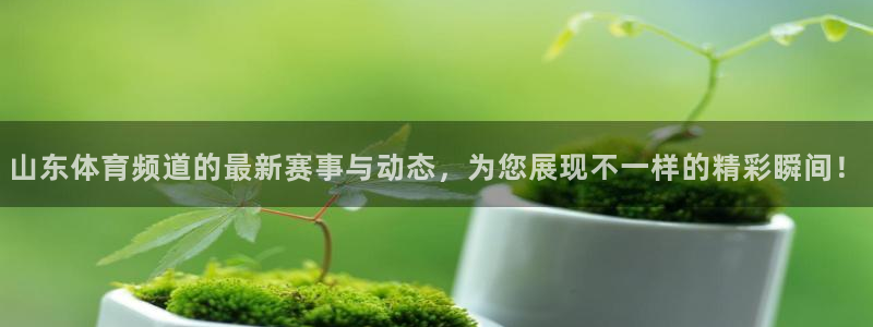 山东体育频道的最新赛事与动态，为您展现不一样的精彩瞬间！
