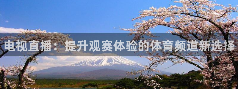 电视直播：提升观赛体验的体育频道新选择
