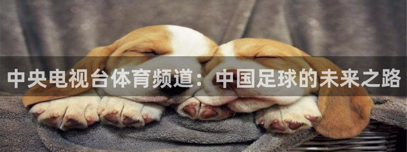 中央电视台体育频道：中国足球的未来之路