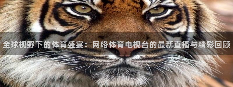 全球视野下的体育盛宴：网络体育电视台的最新直播与精彩回顾