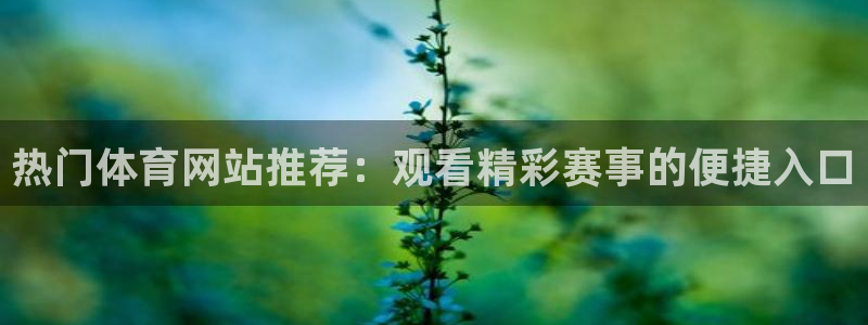 热门体育网站推荐：观看精彩赛事的便捷入口