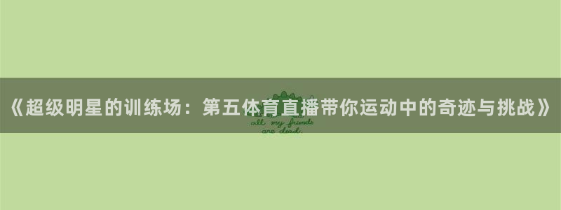 《超级明星的训练场：第五体育直播带你运动中的奇迹与挑战》