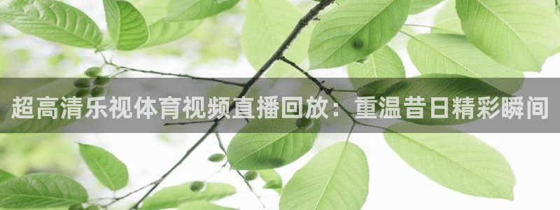 超高清乐视体育视频直播回放：重温昔日精彩瞬间