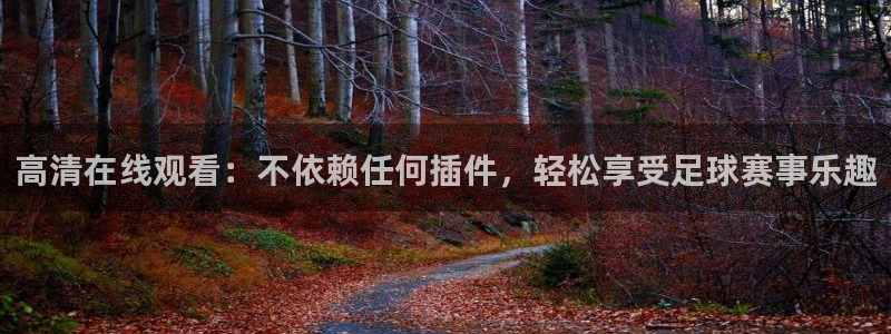 高清在线观看：不依赖任何插件，轻松享受足球赛事乐趣