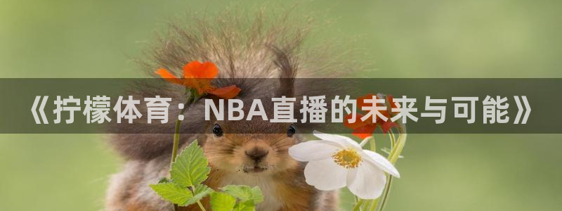 《拧檬体育：NBA直播的未来与可能》