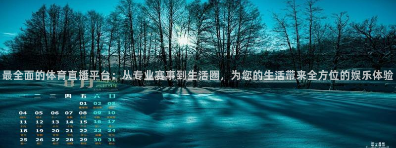最全面的体育直播平台：从专业赛事到生活圈，为您的生活带来全方位的娱乐体验